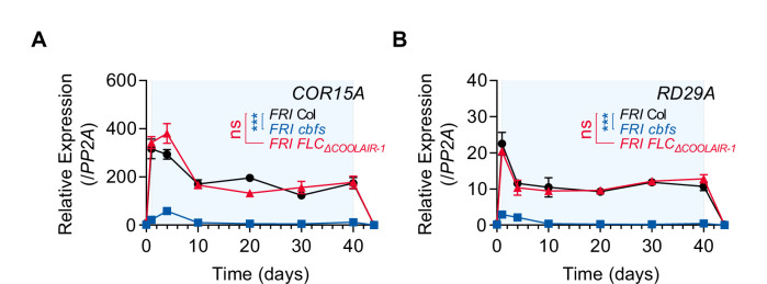 Figure 4—figure supplement 1.