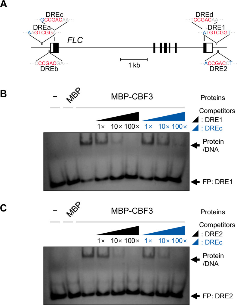 Figure 1—figure supplement 2.