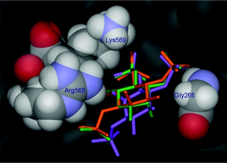 Figure 5