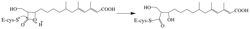 Scheme 2