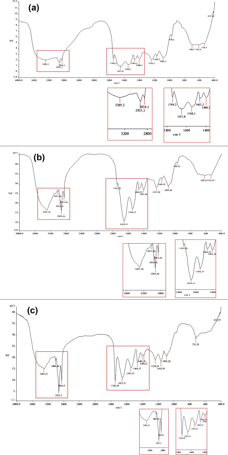 Fig 5