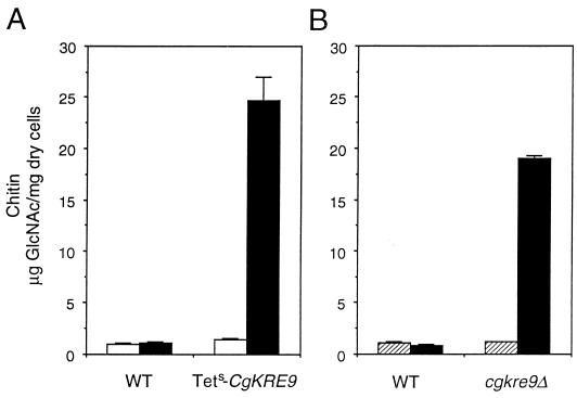 FIG. 7