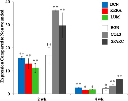 Figure 10.