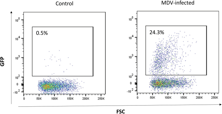 Figure 3