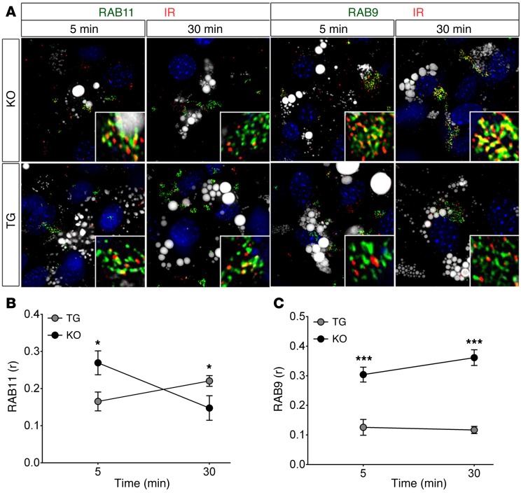 Figure 11