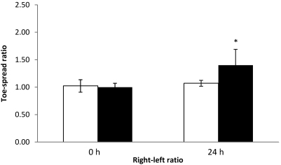 Figure 11.