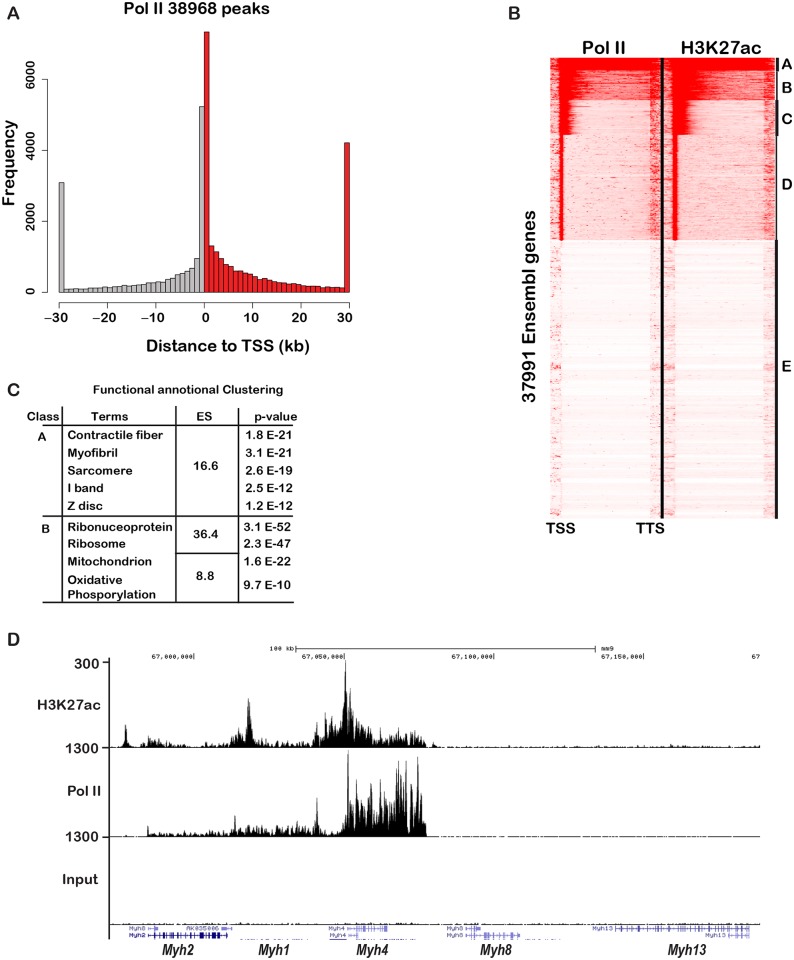 Fig 8