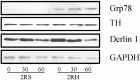 Fig 9