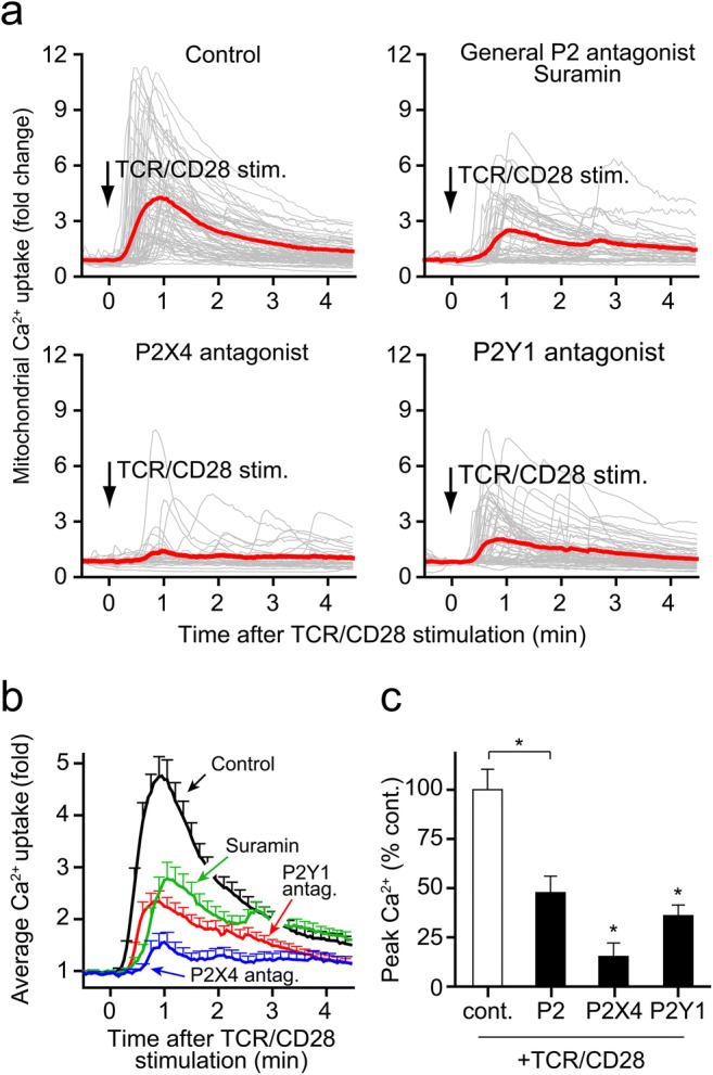 Fig. 4