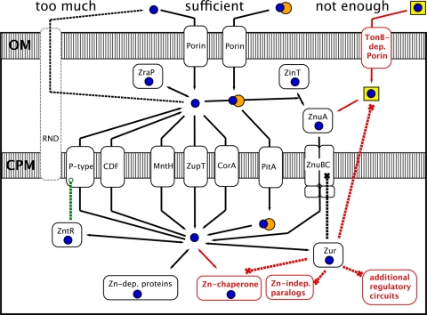 Fig 1