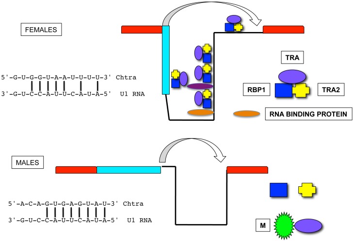 Figure 9