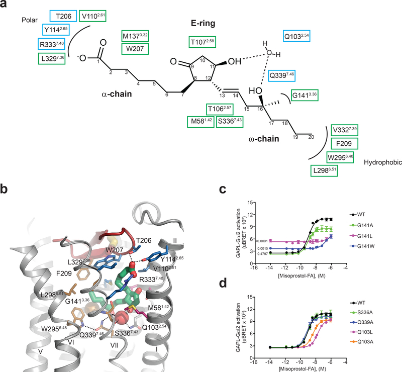 Figure 2|