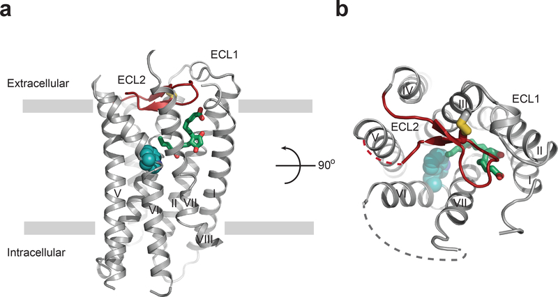 Figure 1|