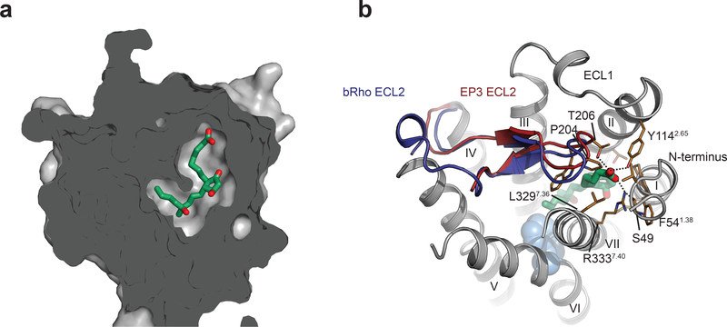 Figure 3|