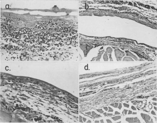 Fig. 7a.