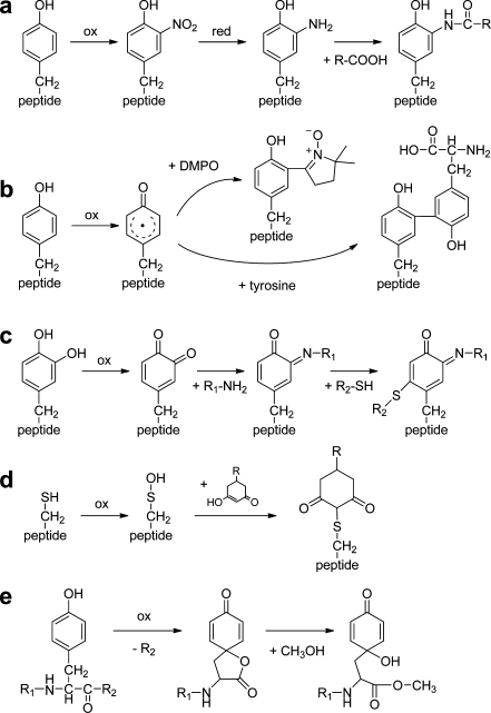 Fig. 4