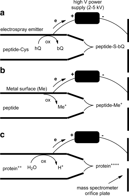 Fig. 3