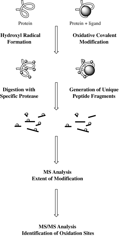 Fig. 5