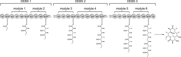 Figure 1.