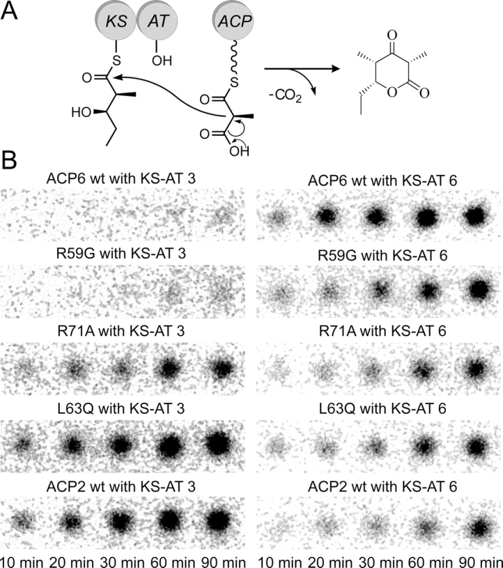 Figure 7.