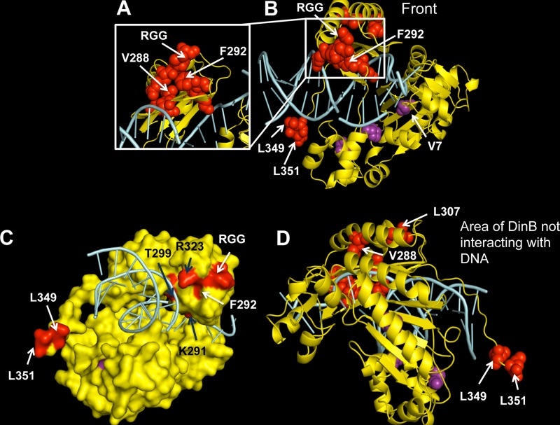 FIG 4