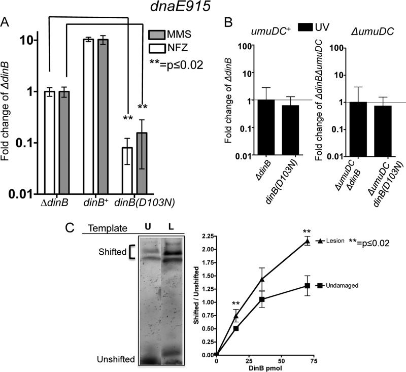 FIG 1