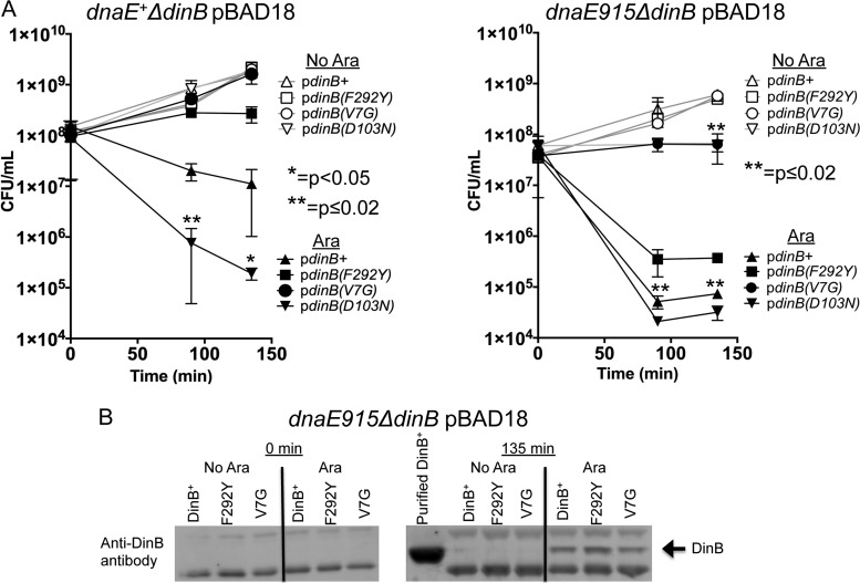 FIG 6