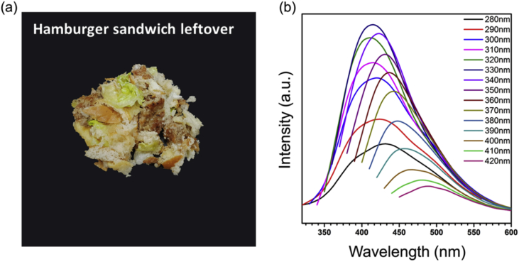 Fig. 3