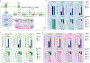 Extended Data Figure 2 –