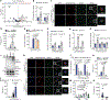 Fig. 4 |