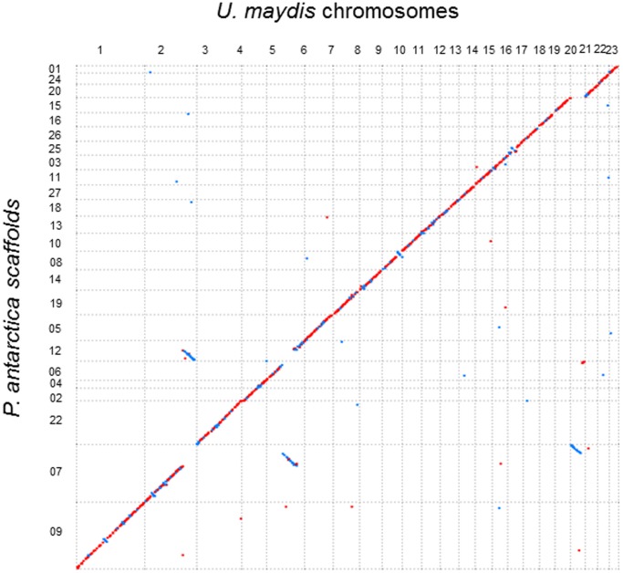 Figure 5