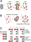 FIGURE 1: