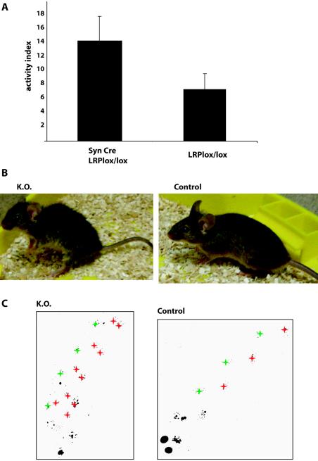 FIG. 2.