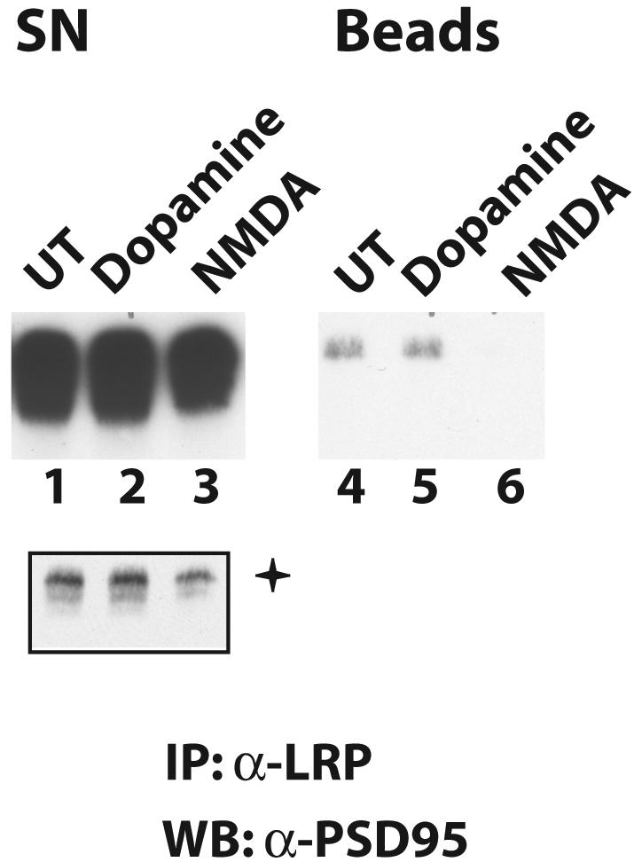 FIG. 6.