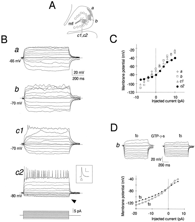 Fig. 1.