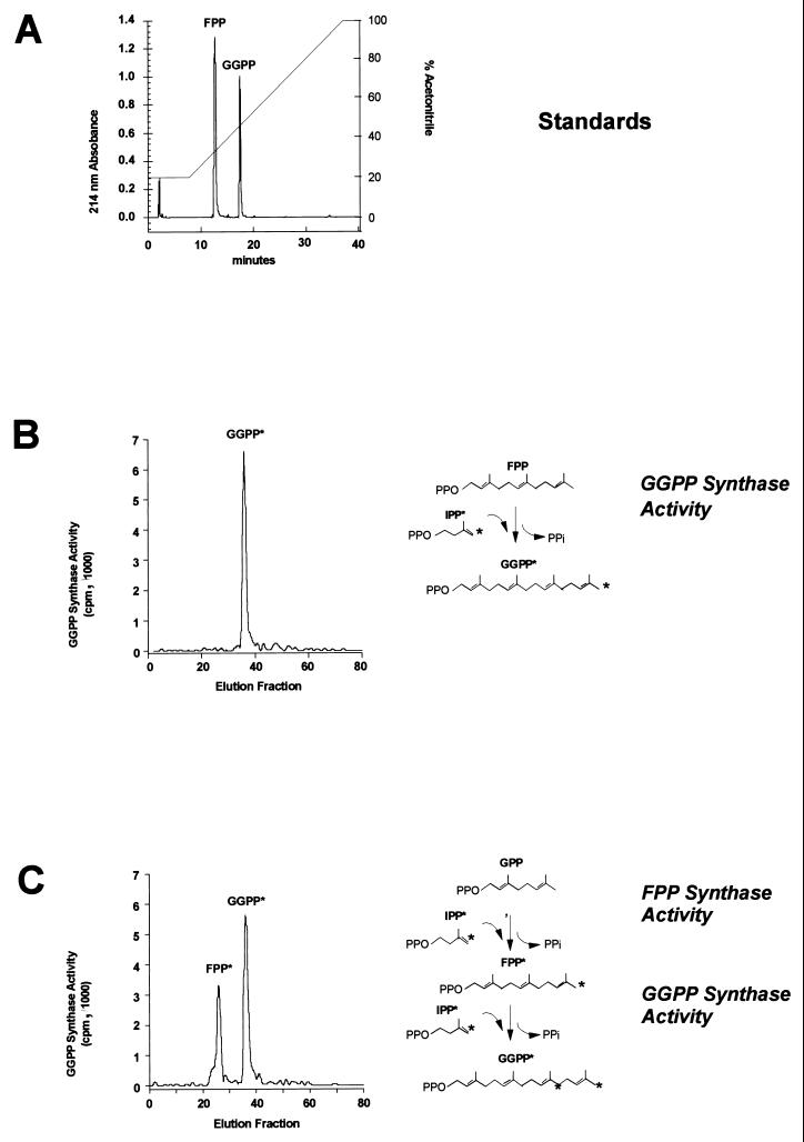 FIG. 7