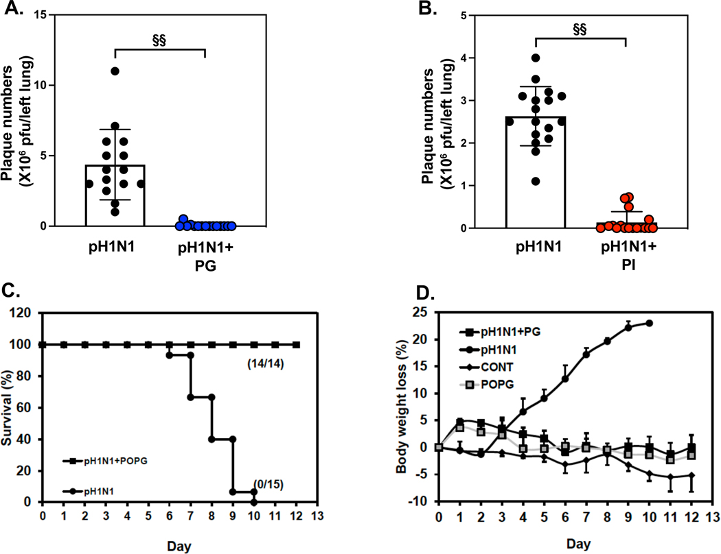 Figure 10: