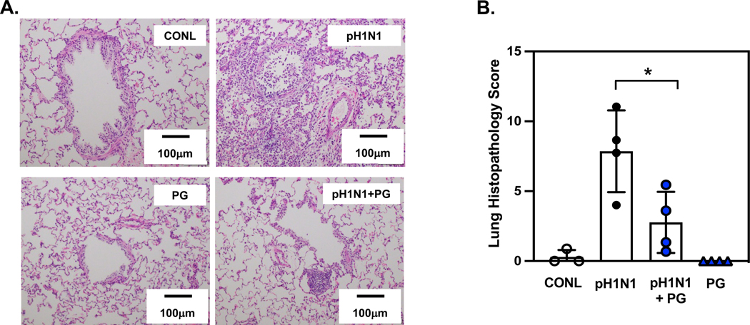 Figure 11.