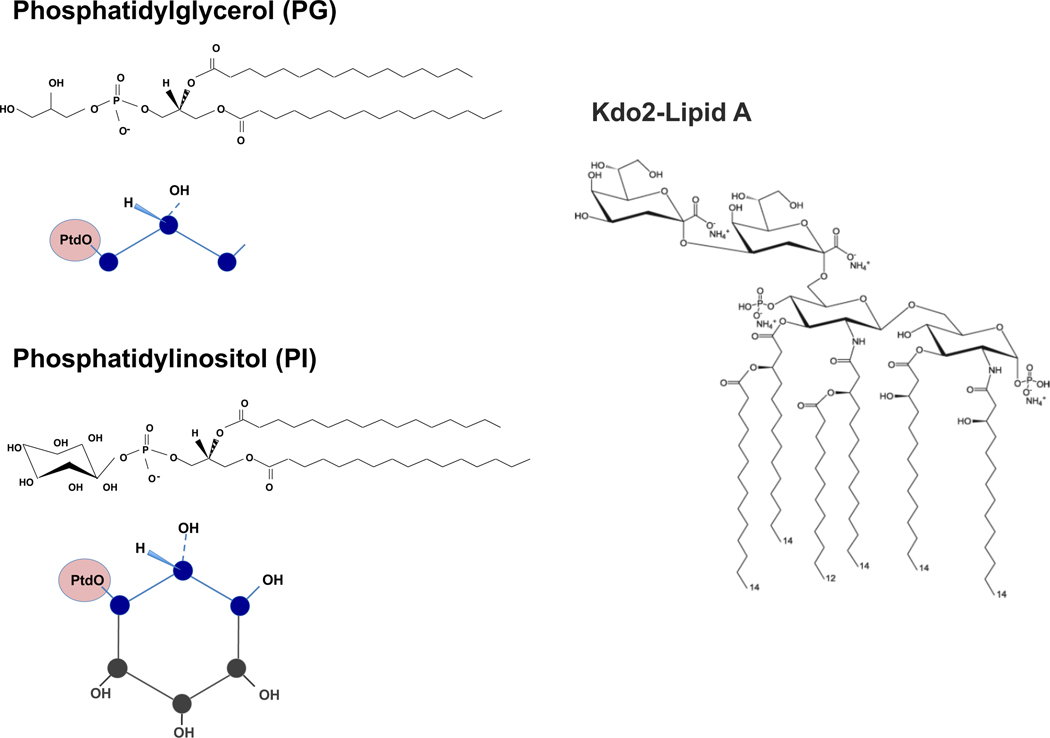 Figure 2: