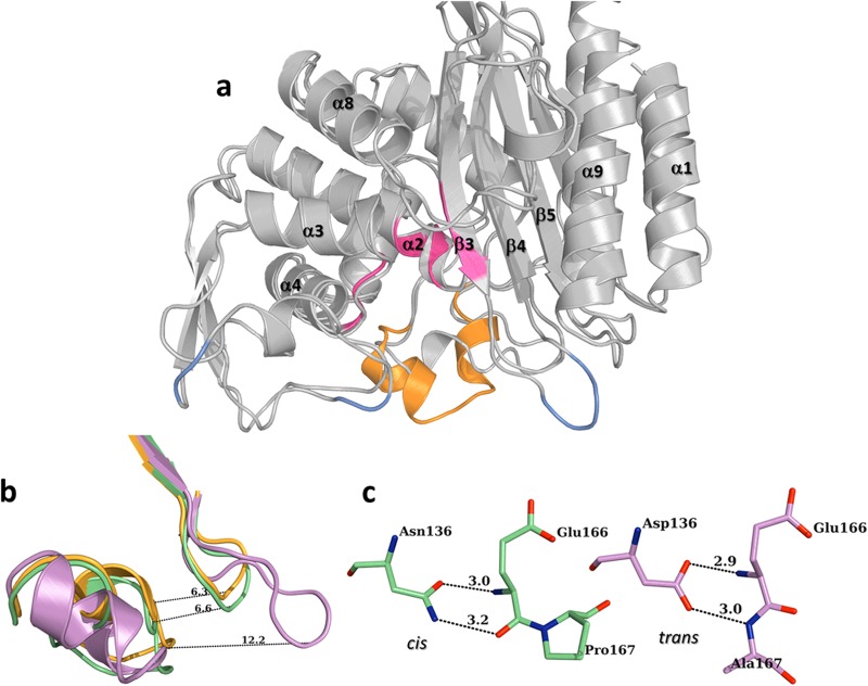 FIG 2