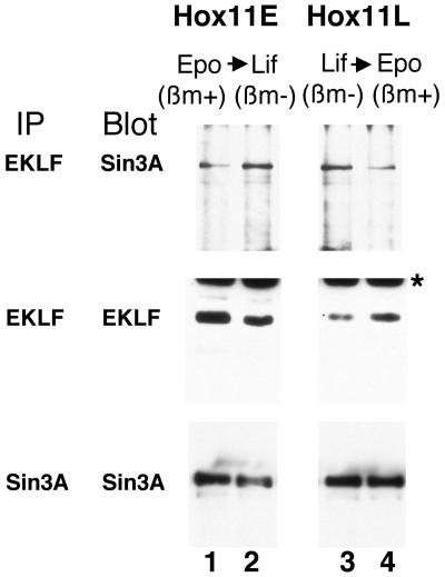 FIG. 5.