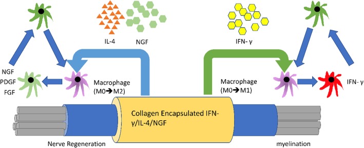 Fig. 10