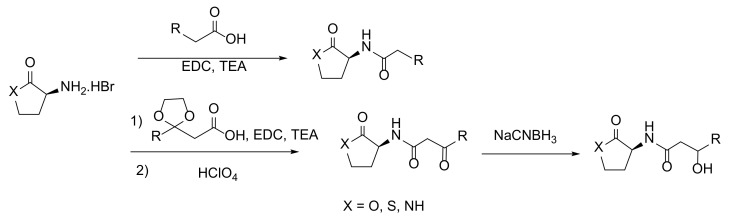 Scheme 1