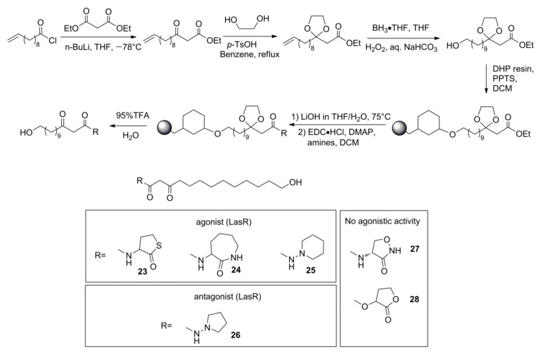 Scheme 3