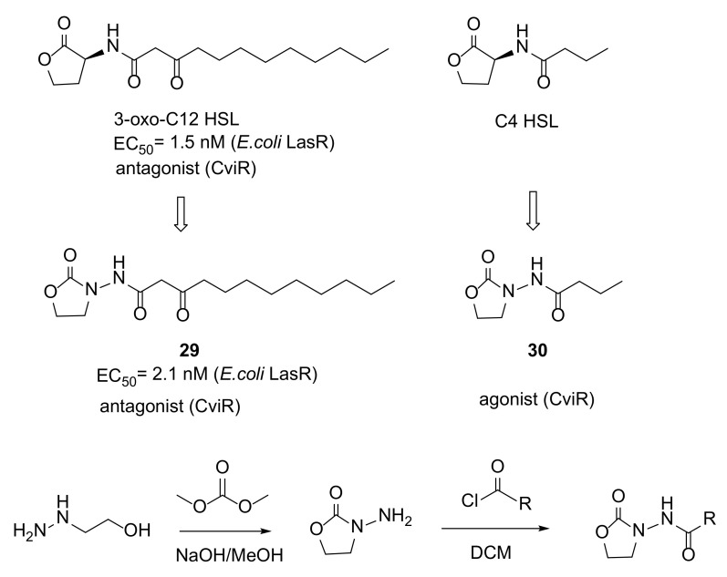 Scheme 4