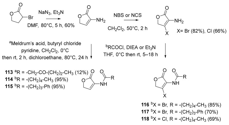 Scheme 15