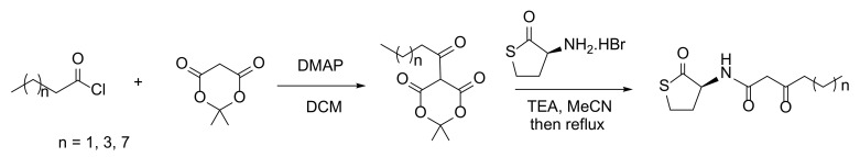 Scheme 2