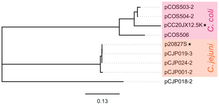 Figure 5