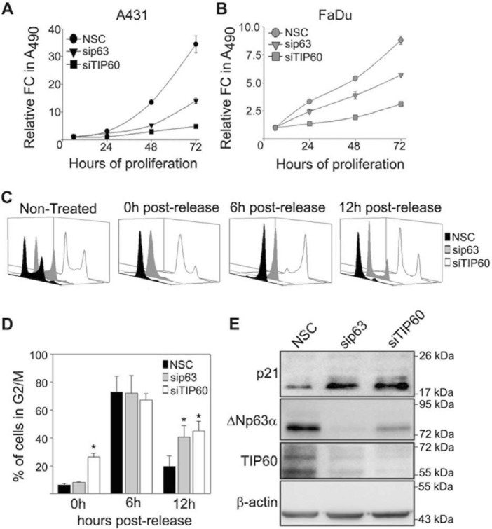 Figure 5.