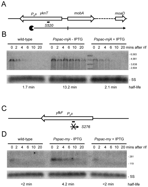 Figure 9